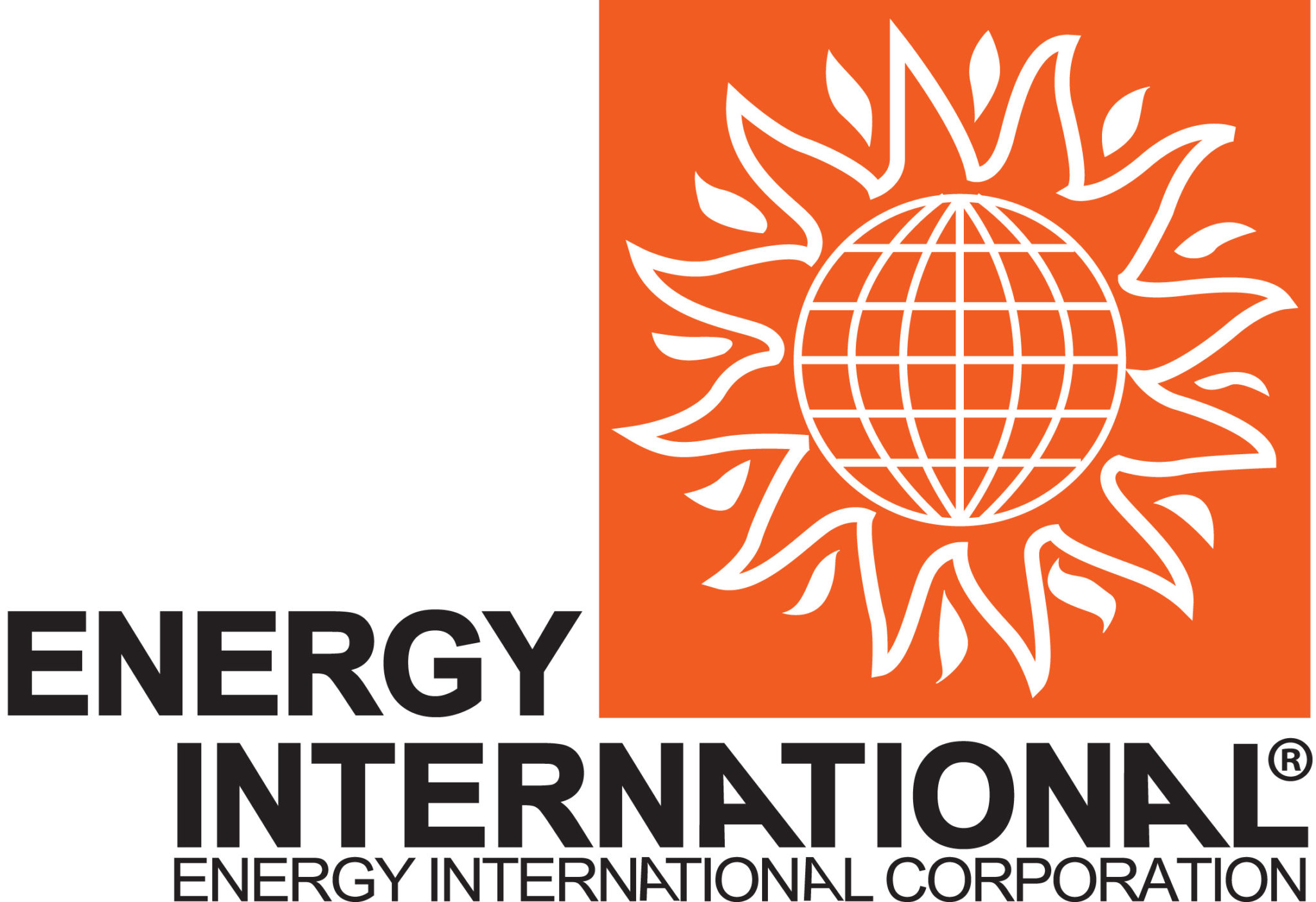 The Energy International Corporation (EIC) - VIVITAL